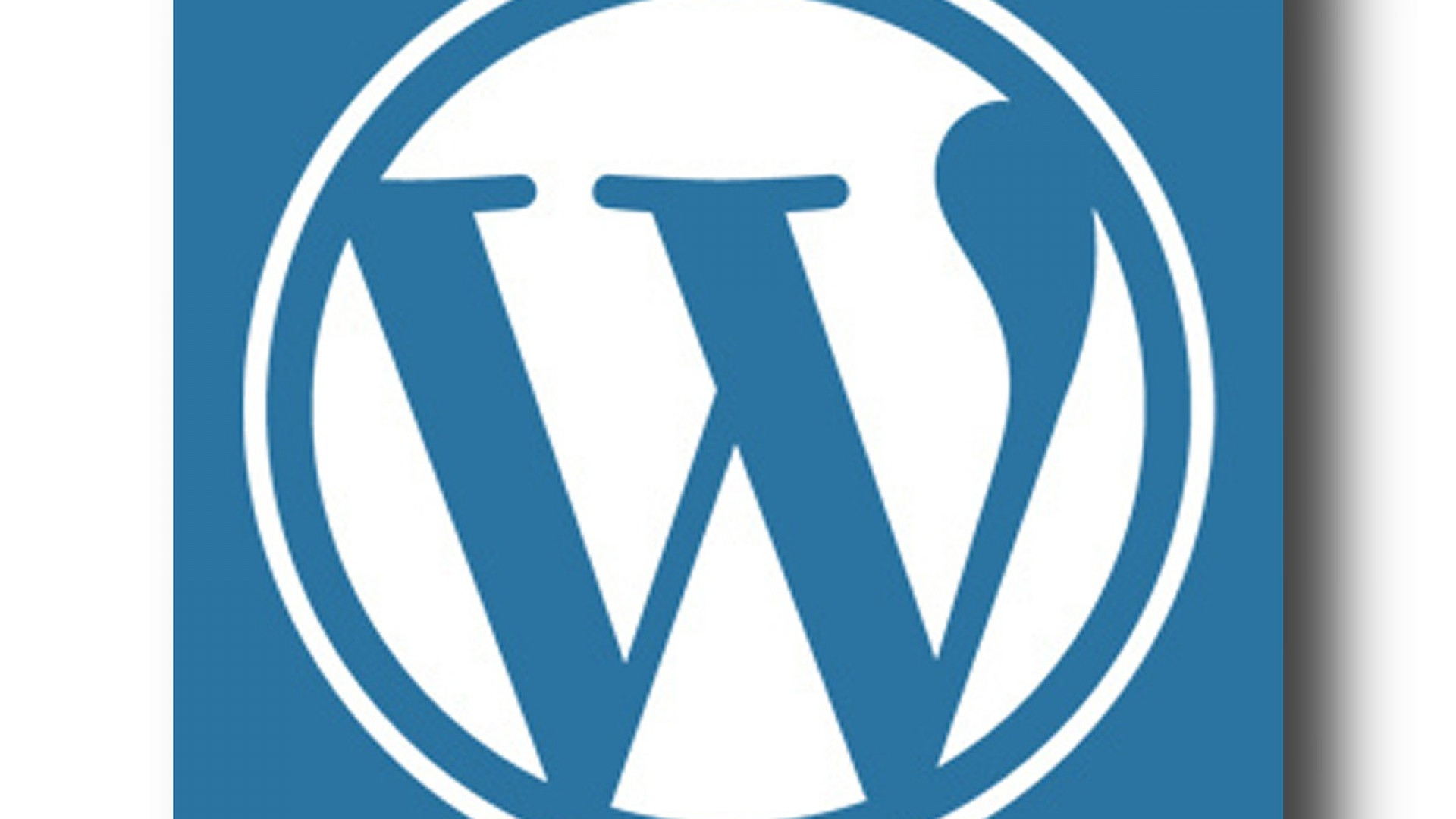 Pourquoi faire appel à une société de maintenance WordPress ?